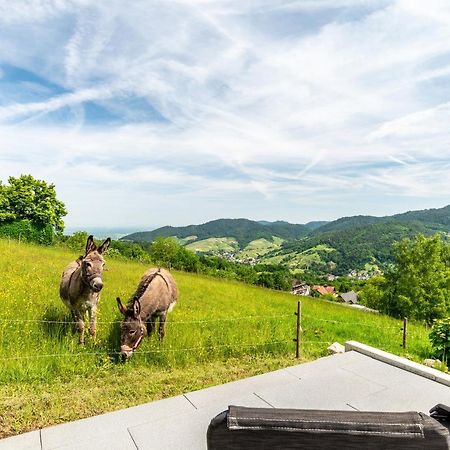 Bühlertal Merzel'S Schone Aussicht المظهر الخارجي الصورة