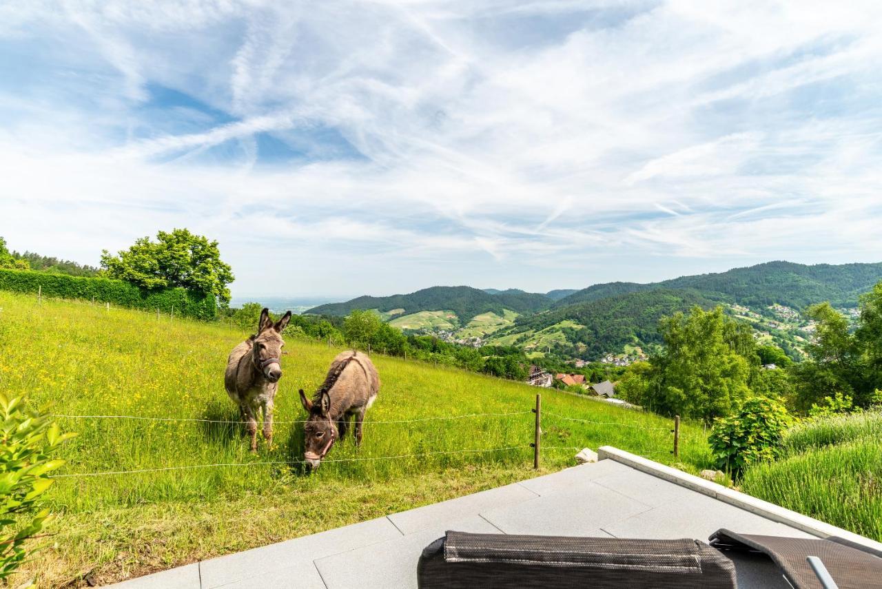 Bühlertal Merzel'S Schone Aussicht المظهر الخارجي الصورة