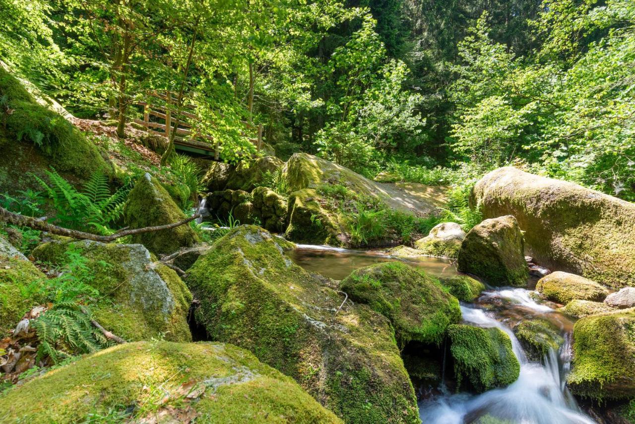 Bühlertal Merzel'S Schone Aussicht المظهر الخارجي الصورة